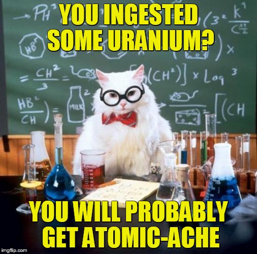 OK this one is a stretch. | YOU INGESTED SOME URANIUM? YOU WILL PROBABLY GET ATOMIC-ACHE | image tagged in memes,chemistry cat | made w/ Imgflip meme maker