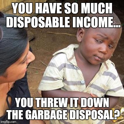 Third World Skeptical Kid Meme | YOU HAVE SO MUCH DISPOSABLE INCOME... YOU THREW IT DOWN THE GARBAGE DISPOSAL? | image tagged in memes,third world skeptical kid | made w/ Imgflip meme maker