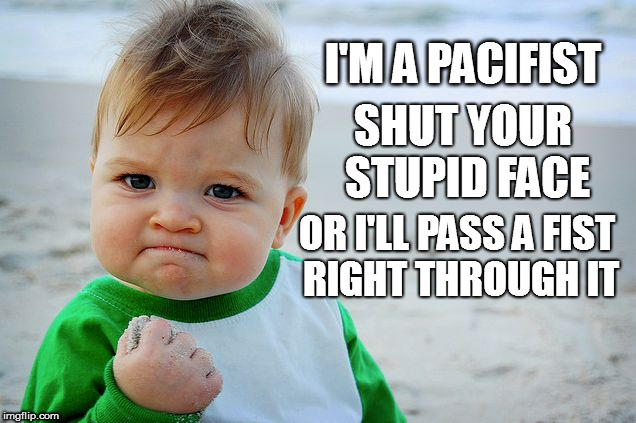 Pacifist Kid |  I'M A PACIFIST; SHUT YOUR STUPID FACE; OR I'LL PASS A FIST RIGHT THROUGH IT | image tagged in success kid / nailed it kid,pacifist,meme,funny | made w/ Imgflip meme maker