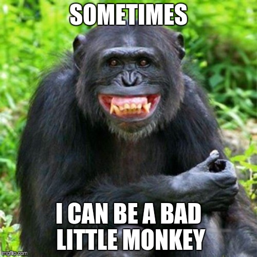 Keep Smiling | SOMETIMES I CAN BE A BAD LITTLE MONKEY | image tagged in keep smiling | made w/ Imgflip meme maker