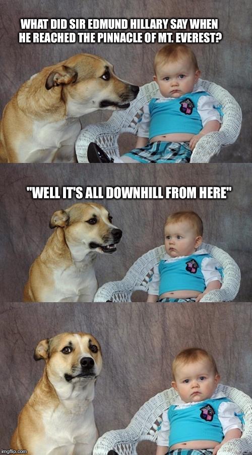 Dad Joke Dog Meme | WHAT DID SIR EDMUND HILLARY SAY WHEN HE REACHED THE PINNACLE OF MT. EVEREST? "WELL IT'S ALL DOWNHILL FROM HERE" | image tagged in memes,dad joke dog | made w/ Imgflip meme maker