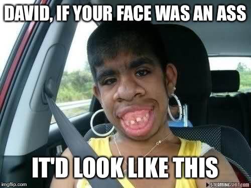 Ugly Camel | DAVID, IF YOUR FACE WAS AN ASS; IT'D LOOK LIKE THIS | image tagged in ugly camel | made w/ Imgflip meme maker