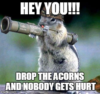 Bazooka Squirrel | HEY YOU!!! DROP THE ACORNS AND NOBODY GETS HURT | image tagged in memes,bazooka squirrel | made w/ Imgflip meme maker