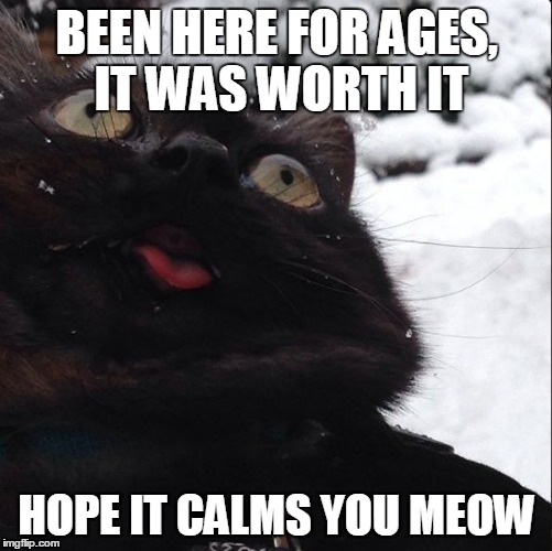 Darn you imgflip | BEEN HERE FOR AGES, IT WAS WORTH IT HOPE IT CALMS YOU MEOW | image tagged in cats | made w/ Imgflip meme maker
