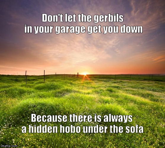 landscapemaymay | Don't let the gerbils in your garage get you down; Because there is always a hidden hobo under the sofa | image tagged in landscapemaymay | made w/ Imgflip meme maker