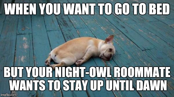 tired dog | WHEN YOU WANT TO GO TO BED; BUT YOUR NIGHT-OWL ROOMMATE WANTS TO STAY UP UNTIL DAWN | image tagged in tired dog | made w/ Imgflip meme maker