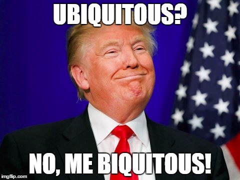 DT | UBIQUITOUS? NO, ME BIQUITOUS! | image tagged in trump | made w/ Imgflip meme maker