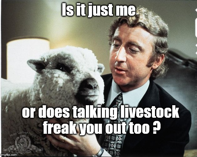 Baaa | Is it just me or does talking livestock freak you out too ? | image tagged in baaa | made w/ Imgflip meme maker