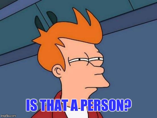 Futurama Fry Meme | IS THAT A PERSON? | image tagged in memes,futurama fry | made w/ Imgflip meme maker