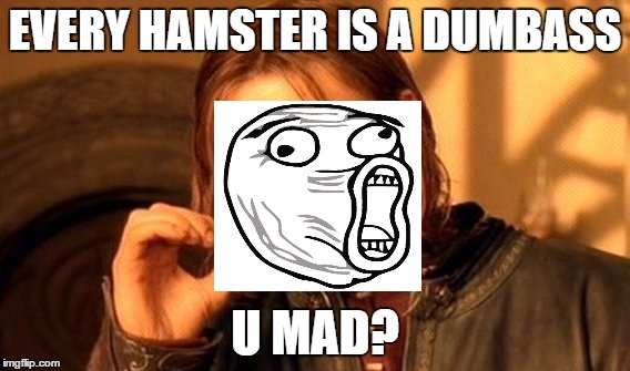 One Does Not Simply Meme | EVERY HAMSTER IS A DUMBASS U MAD? | image tagged in memes,one does not simply | made w/ Imgflip meme maker