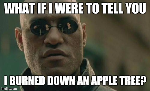 Matrix Morpheus Meme | WHAT IF I WERE TO TELL YOU I BURNED DOWN AN APPLE TREE? | image tagged in memes,matrix morpheus | made w/ Imgflip meme maker