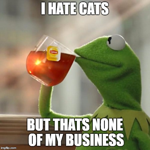 But That's None Of My Business Meme | I HATE CATS BUT THATS NONE OF MY BUSINESS | image tagged in memes,but thats none of my business,kermit the frog | made w/ Imgflip meme maker