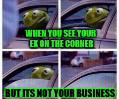 looks like things went sour kermit! | WHEN YOU SEE YOUR EX ON THE CORNER; BUT ITS NOT YOUR BUSINESS | image tagged in kermit rolls up window,but thats none of my business,kermit the frog,funny memes,prostitute,ex girlfriend | made w/ Imgflip meme maker
