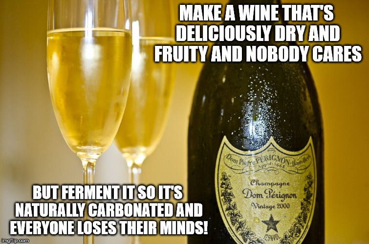 happy new year 2017! | MAKE A WINE THAT'S DELICIOUSLY DRY AND FRUITY AND NOBODY CARES; BUT FERMENT IT SO IT'S NATURALLY CARBONATED AND EVERYONE LOSES THEIR MINDS! | image tagged in champagne | made w/ Imgflip meme maker