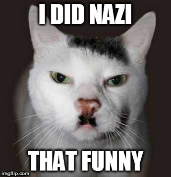 Nazi Cat | I DID NAZI; THAT FUNNY | image tagged in nazi cat | made w/ Imgflip meme maker