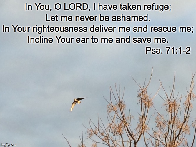 In You, O LORD, I have taken refuge;; Let me never be ashamed. In Your righteousness deliver me and rescue me;; Incline Your ear to me and save me. Psa. 71:1-2 | image tagged in refuge | made w/ Imgflip meme maker