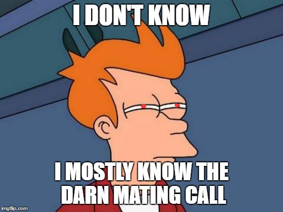 Futurama Fry Meme | I DON'T KNOW I MOSTLY KNOW THE DARN MATING CALL | image tagged in memes,futurama fry | made w/ Imgflip meme maker