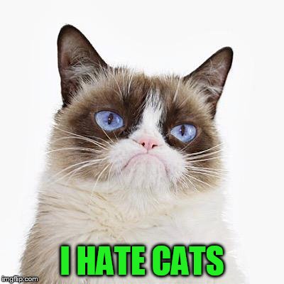 I HATE CATS | made w/ Imgflip meme maker