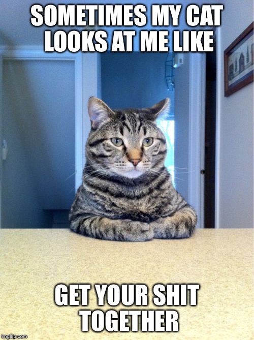 Take A Seat Cat | SOMETIMES MY CAT LOOKS AT ME LIKE; GET YOUR SHIT TOGETHER | image tagged in memes,take a seat cat | made w/ Imgflip meme maker