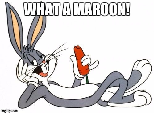 The adventure of bugs bunny |  WHAT A MAROON! | image tagged in the adventure of bugs bunny | made w/ Imgflip meme maker