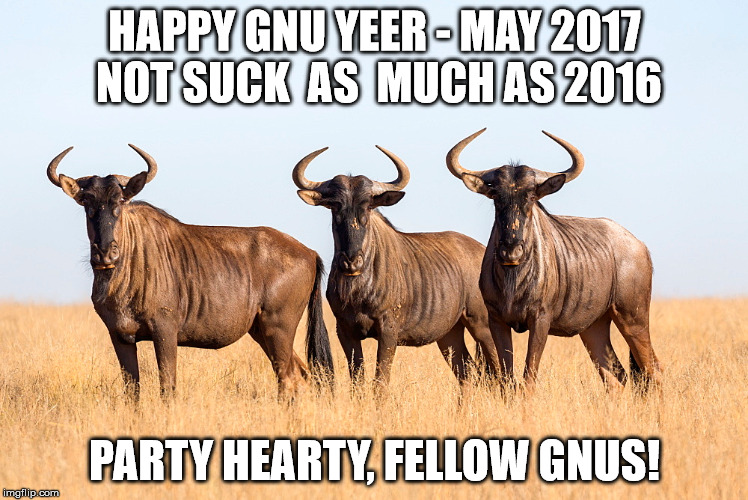 Happy New Year | HAPPY GNU YEER - MAY 2017 NOT SUCK  AS  MUCH AS 2016; PARTY HEARTY, FELLOW GNUS! | image tagged in new year,2017 | made w/ Imgflip meme maker