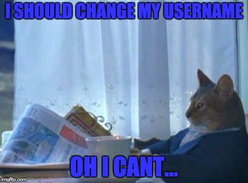 There Should Be A Option  | I SHOULD CHANGE MY USERNAME; OH I CANT... | image tagged in memes,i should buy a boat cat | made w/ Imgflip meme maker