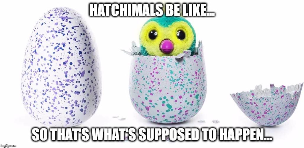 Hatchimals Lesson Learned | HATCHIMALS BE LIKE... SO THAT'S WHAT'S SUPPOSED TO HAPPEN... | image tagged in hatchimals lesson learned | made w/ Imgflip meme maker