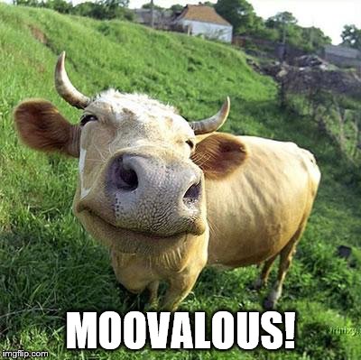 MOOVALOUS! | made w/ Imgflip meme maker