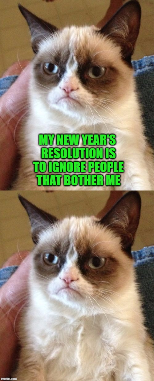 Why Are You Still Here? | MY NEW YEAR'S RESOLUTION IS TO IGNORE PEOPLE THAT BOTHER ME | image tagged in memes,grumpy cat,new years,new year resolutions | made w/ Imgflip meme maker