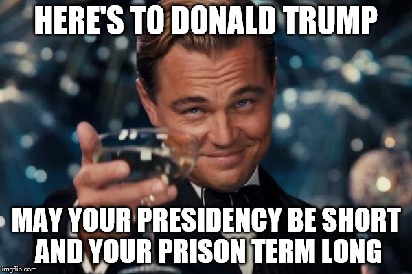 Leonardo Dicaprio Cheers | HERE'S TO DONALD TRUMP; MAY YOUR PRESIDENCY BE SHORT AND YOUR PRISON TERM LONG | image tagged in memes,leonardo dicaprio cheers | made w/ Imgflip meme maker