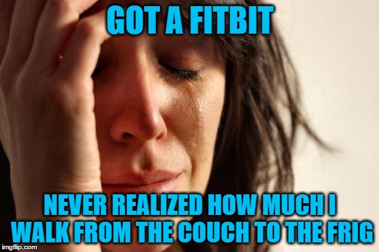 I'll Do Whatever It Takes To See That Rocket With Fireworks Reward :) | GOT A FITBIT; NEVER REALIZED HOW MUCH I WALK FROM THE COUCH TO THE FRIG | image tagged in memes,first world problems,fitbit | made w/ Imgflip meme maker