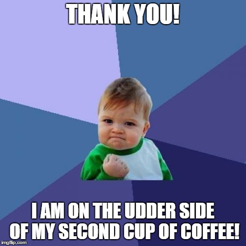 Success Kid Meme | THANK YOU! I AM ON THE UDDER SIDE OF MY SECOND CUP OF COFFEE! | image tagged in memes,success kid | made w/ Imgflip meme maker