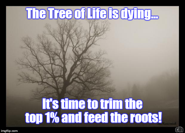 Tree of Life is dying... | The Tree of Life is dying... It's time to trim the top 1% and feed the roots! clh | image tagged in tree,one percent,inequality | made w/ Imgflip meme maker