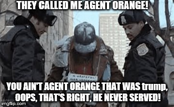 agent orange | THEY CALLED ME AGENT ORANGE! YOU AIN'T AGENT ORANGE THAT WAS trump, OOPS, THAT'S RIGHT, HE NEVER SERVED! | image tagged in anti trump meme,anti trump | made w/ Imgflip meme maker