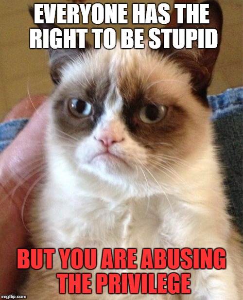 Grumpy Cat | EVERYONE HAS THE RIGHT TO BE STUPID; BUT YOU ARE ABUSING THE PRIVILEGE | image tagged in memes,grumpy cat | made w/ Imgflip meme maker