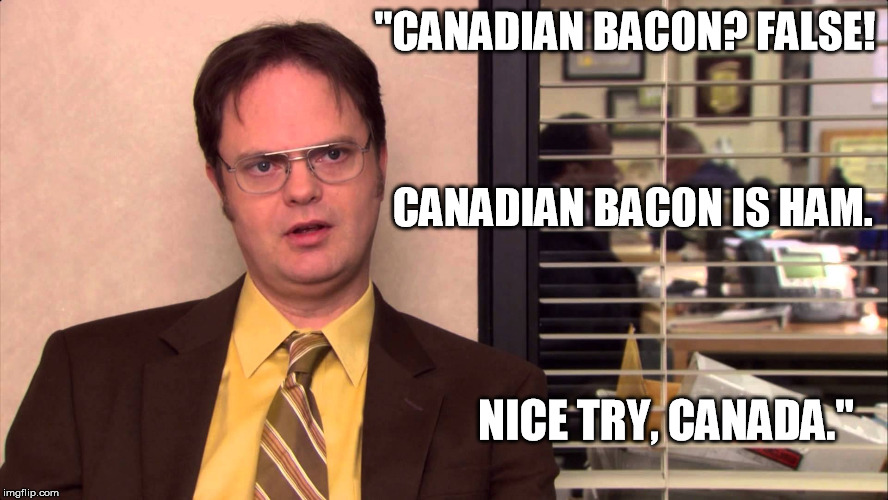 "CANADIAN BACON? FALSE! CANADIAN BACON IS HAM. NICE TRY, CANADA." | made w/ Imgflip meme maker