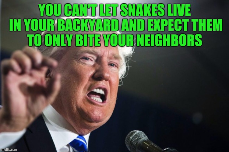 donald trump | YOU CAN'T LET SNAKES LIVE IN YOUR BACKYARD AND EXPECT THEM TO ONLY BITE YOUR NEIGHBORS | image tagged in donald trump | made w/ Imgflip meme maker