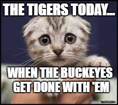Kittens | THE TIGERS TODAY... WHEN THE BUCKEYES GET DONE WITH 'EM | image tagged in kittens | made w/ Imgflip meme maker