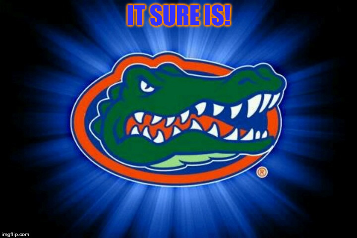 Florida Gators Logo | IT SURE IS! | image tagged in florida gators logo | made w/ Imgflip meme maker