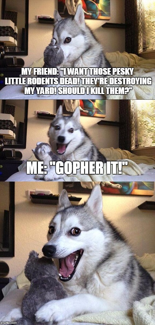 Bad Pun Dog | MY FRIEND: "I WANT THOSE PESKY LITTLE RODENTS DEAD! THEY'RE DESTROYING MY YARD! SHOULD I KILL THEM?"; ME: "GOPHER IT!" | image tagged in memes,bad pun dog | made w/ Imgflip meme maker