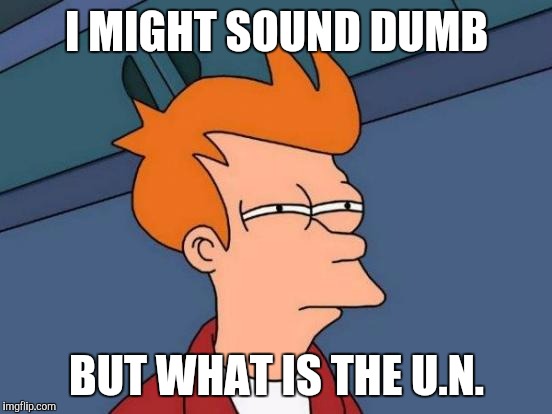 Futurama Fry Meme | I MIGHT SOUND DUMB BUT WHAT IS THE U.N. | image tagged in memes,futurama fry | made w/ Imgflip meme maker