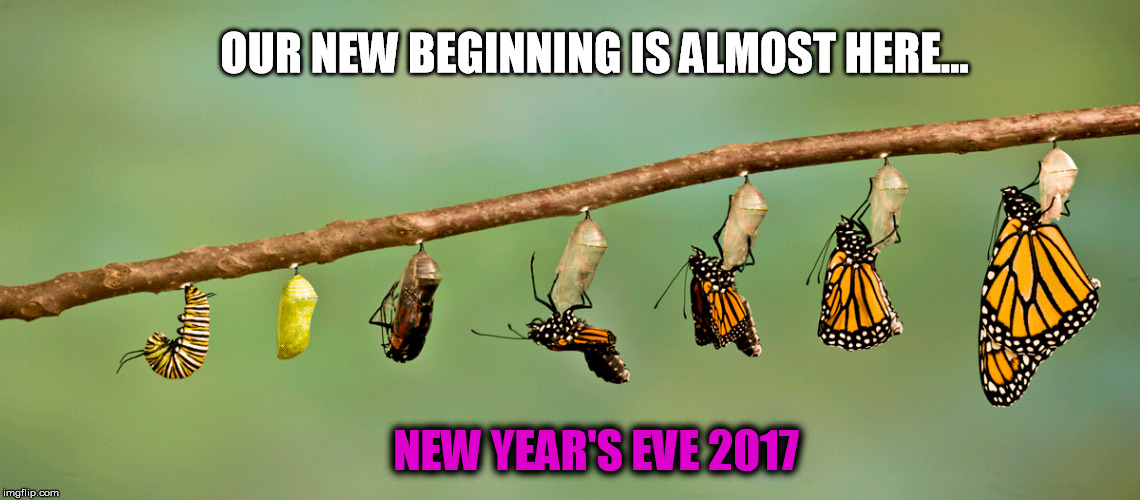 New Year's Emerging | OUR NEW BEGINNING IS ALMOST HERE... NEW YEAR'S EVE 2017 | image tagged in new year's eve | made w/ Imgflip meme maker