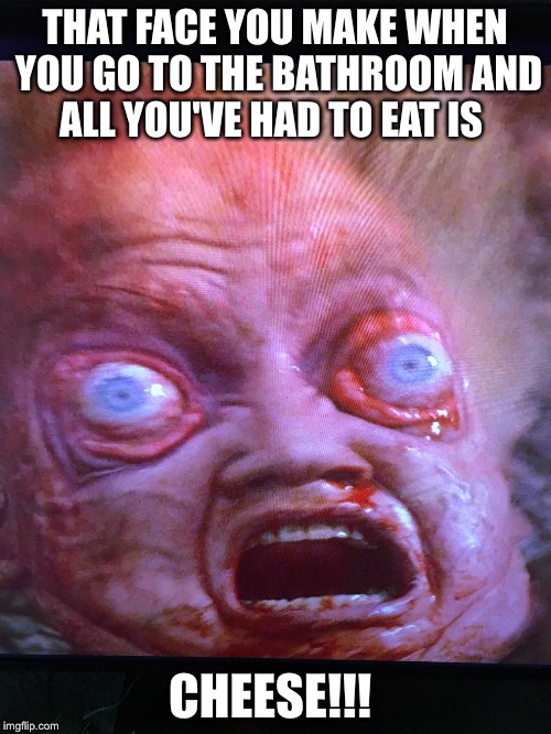 THAT FACE YOU MAKE WHEN YOU GO TO THE BATHROOM AND ALL YOU'VE HAD TO EAT IS; CHEESE!!! | image tagged in funny,birth control | made w/ Imgflip meme maker
