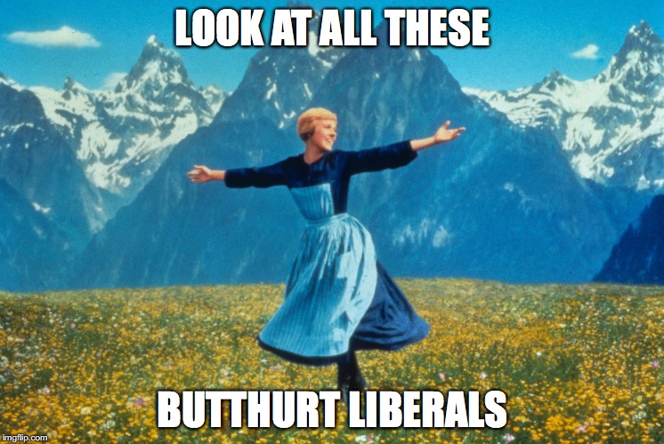 Look at all this | LOOK AT ALL THESE; BUTTHURT LIBERALS | image tagged in look at all this | made w/ Imgflip meme maker