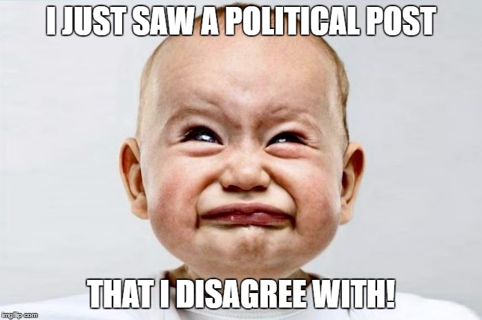 Sour Face | I JUST SAW A POLITICAL POST; THAT I DISAGREE WITH! | image tagged in sour face | made w/ Imgflip meme maker