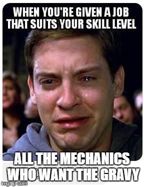 Fairly certain that's accurate... | ALL THE MECHANICS WHO WANT THE GRAVY | image tagged in peter parker cry,skills,mechanic,dealership,automotive,engineering | made w/ Imgflip meme maker