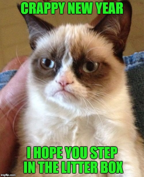 Happy...I Mean Crappy New Year Everyone!! Thanks for spending the last year making me laugh!  | CRAPPY NEW YEAR; I HOPE YOU STEP IN THE LITTER BOX | image tagged in memes,grumpy cat | made w/ Imgflip meme maker