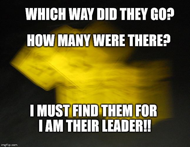 I am their Leader | WHICH WAY DID THEY GO? HOW MANY WERE THERE? I MUST FIND THEM FOR I AM THEIR LEADER!! | image tagged in which way did they go,how many were there | made w/ Imgflip meme maker