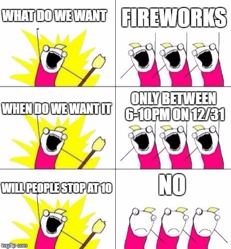 New Year's Eve Fireworks | FIREWORKS; WHAT DO WE WANT; WHEN DO WE WANT IT; ONLY BETWEEN 6-10PM ON 12/31; NO; WILL PEOPLE STOP AT 10 | image tagged in what do we want bummed out,what do we want,what do we want 3,new years,new years eve | made w/ Imgflip meme maker