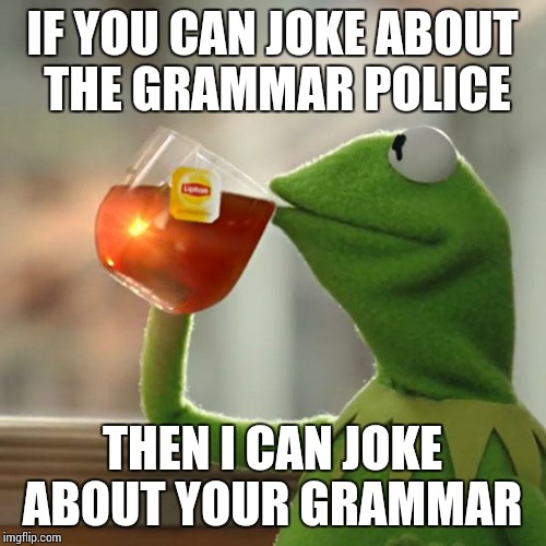 But That's None Of My Business | IF YOU CAN JOKE ABOUT THE GRAMMAR POLICE; THEN I CAN JOKE ABOUT YOUR GRAMMAR | image tagged in memes,but thats none of my business,kermit the frog | made w/ Imgflip meme maker